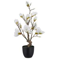 Magnolie Weiß ca. 65cm - Schwarz/Weiß, Basics, Kunststoff/Textil (65cm) - Mömax