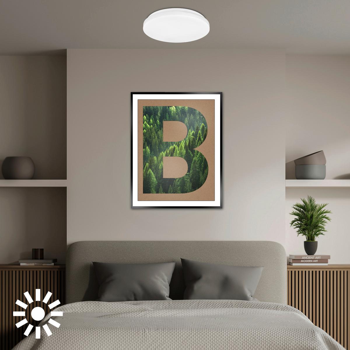 LAMPA SUFITOWA LED 3866016 ELIPSO A - biały, Basics, tworzywo sztuczne (29/6cm)