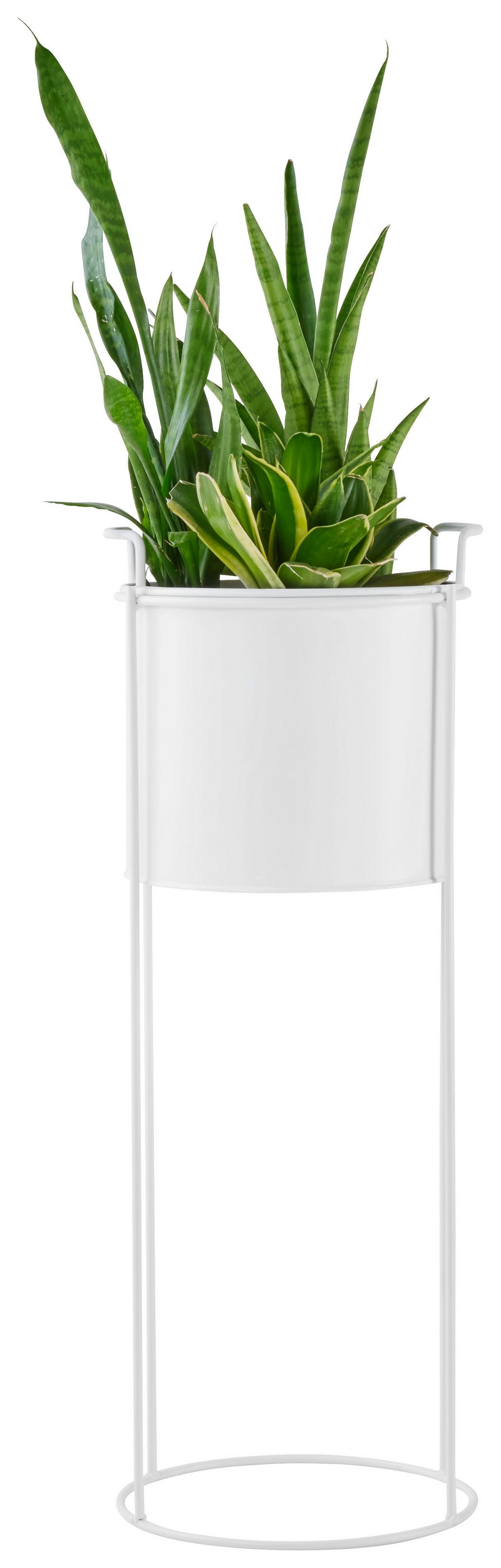 Virágállvány Trelleborg - fehér, Basics, fém (19/50cm) - Modern Living