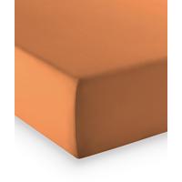 Fixleintuch Q 4000 39 - Cognac, Basics, Textil (180-200/200-210cm) - Fleuresse