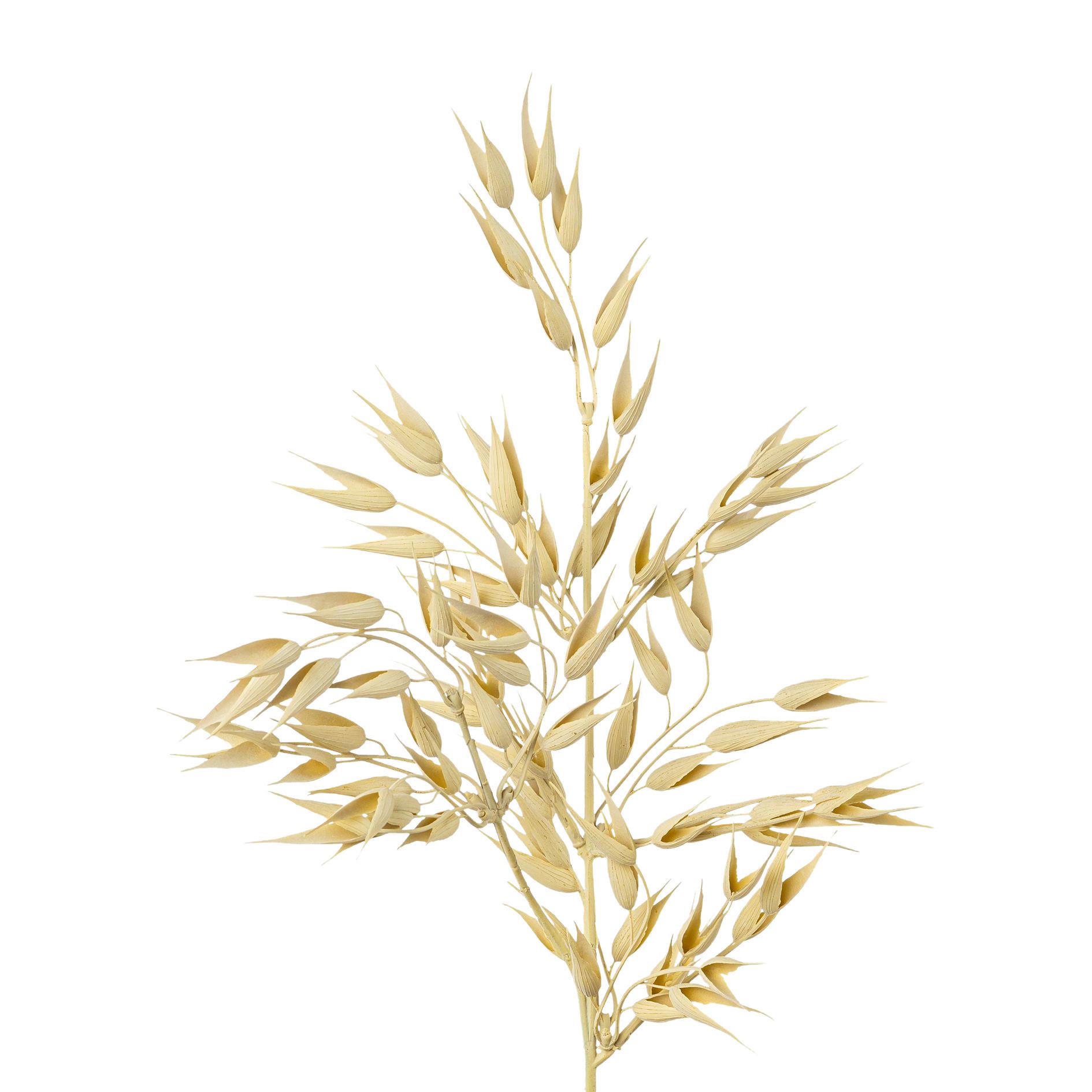 Dekor Gally Zab - krémszínű, Konventionell, műanyag (64cm) - Modern Living