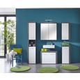 Spiegelschrank Miami/maine - Silberfarben, MODERN, Glas/Holzwerkstoff (72/79/17cm)