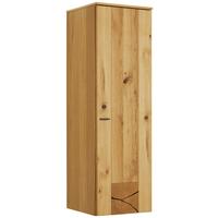 Hängeelement in Eichefarben - Eichefarben/Schwarz, Modern, Holzwerkstoff/Metall (37/119/38cm) - Premium Living