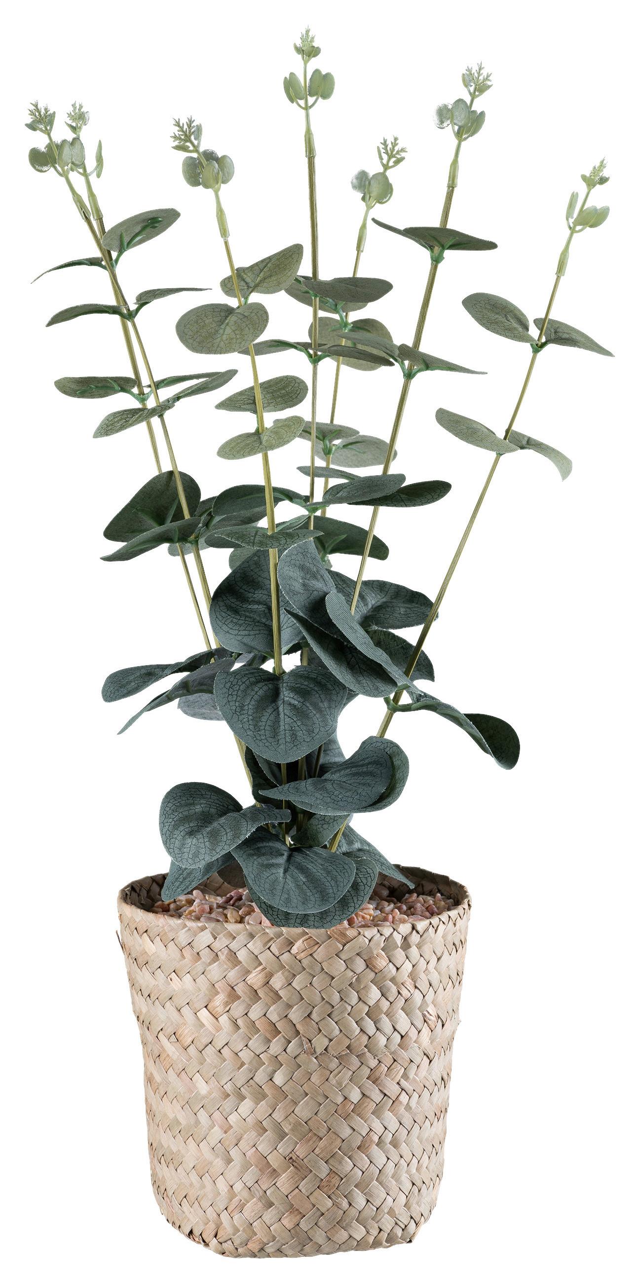 Kunstpflanze Eukalyphus II in Grün - Naturfarben/Grün, Basics, Naturmaterialien/Kunststoff (38cm) - Modern Living