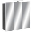 Spiegelschrank Dunkelgrau - Dunkelgrau, MODERN, Glas/Holzwerkstoff (80/79/20cm) Spiegelschrank Dunkelgrau - Dunkelgrau, MODERN, Glas/Holzwerkstoff (80/79/20cm)