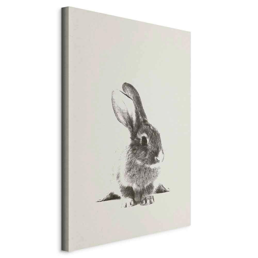 Slika Na Platnu Fluffy Bunny - siva/krem barve, Basics, tekstil/les (80/120/1,2cm) - artgeist