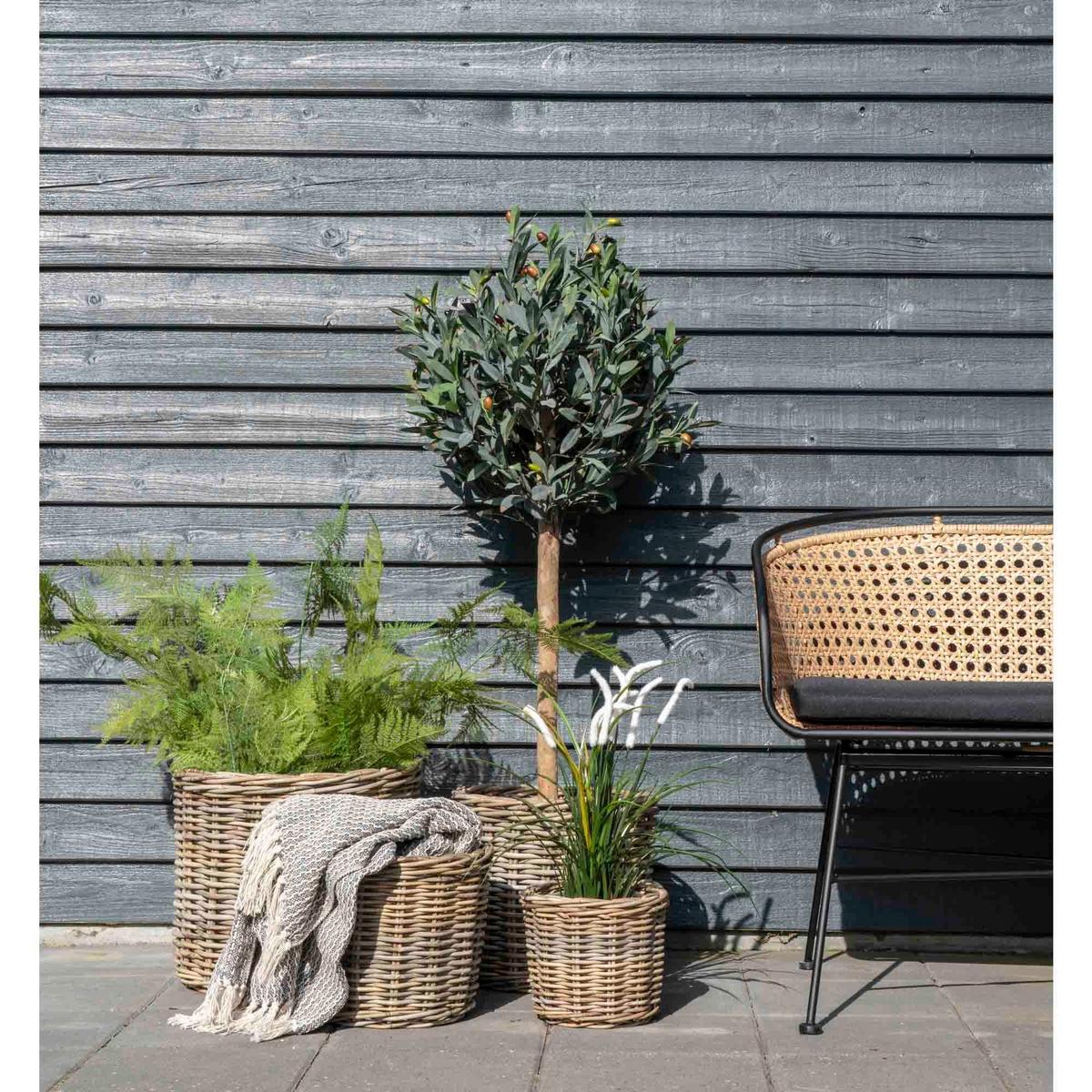 Korbset Bogor Baskets Braun, 4er Set - Braun, Basics, Holz (40/35/40cm)