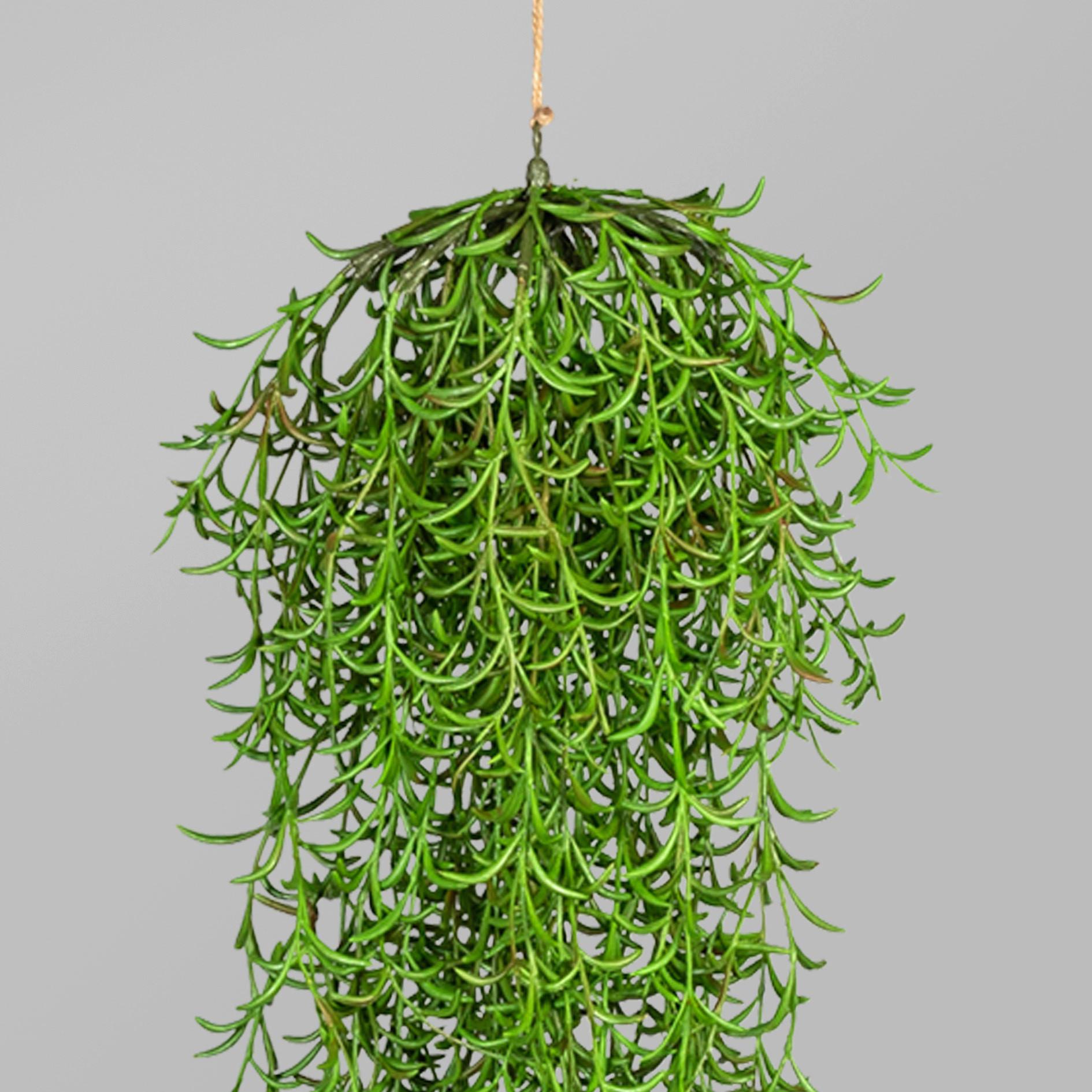 Kunstpflanze in Grün ca. 110cm - Grün, Basics, Kunststoff (110cm) - P & B