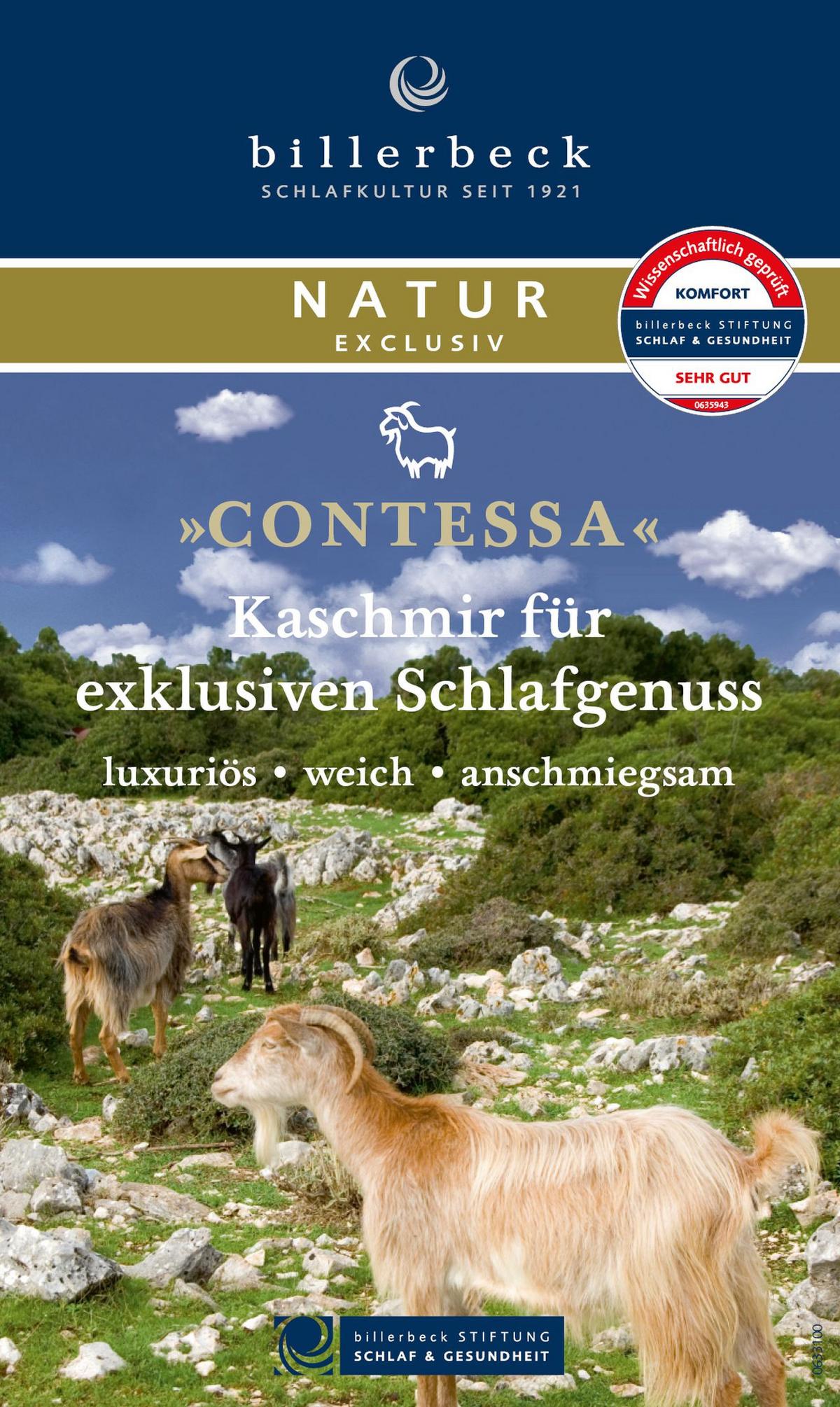 KOŁDRA CAŁOROCZNA CONTESSA UNO - Basics, tkanina (155/220cm) - Billerbeck