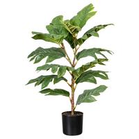 Kunstpflanze Artocarpus I in Grün/Braun - Schwarz/Braun, Basics, Kunststoff (70cm) - Modern Living