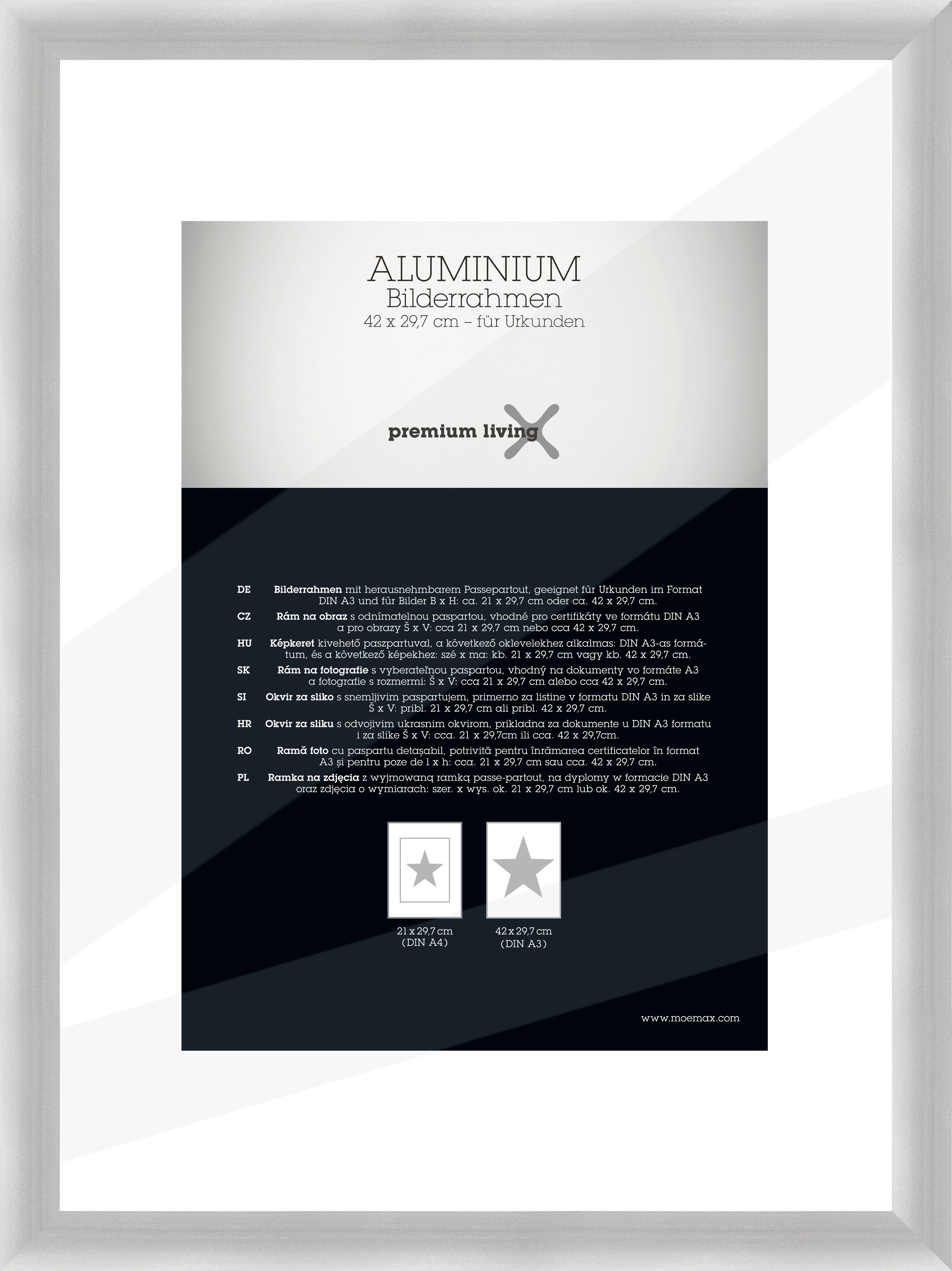 Bilderrahmen Aluminium ca. 32x45cm - Silberfarben, Basics, Metall (32,8/45,1/2.2cm) - Premium Living