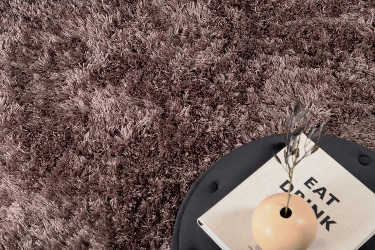 HOCHFLORTEPPICH GRACE - Braun, LIFESTYLE, Textil (200/300cm) - P & B
