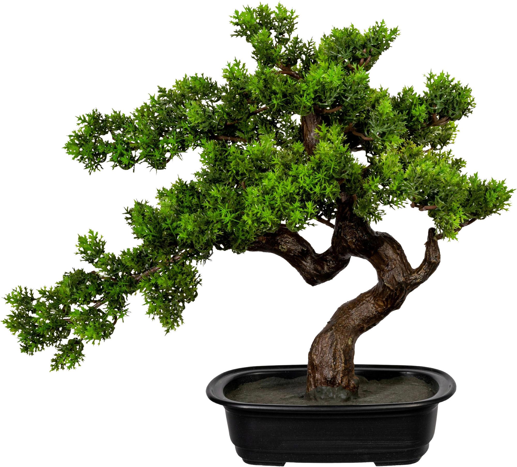 Kunstpflanze Bonsai Grün/Braun - Schwarz/Braun, Design, Kunststoff (40cm)