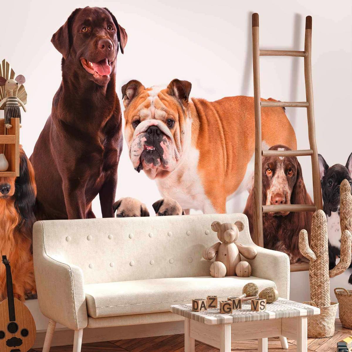 Fototapeta Dogs, 450x315cm - bela/rjava, Basics, tekstil (450/315cm) - artgeist