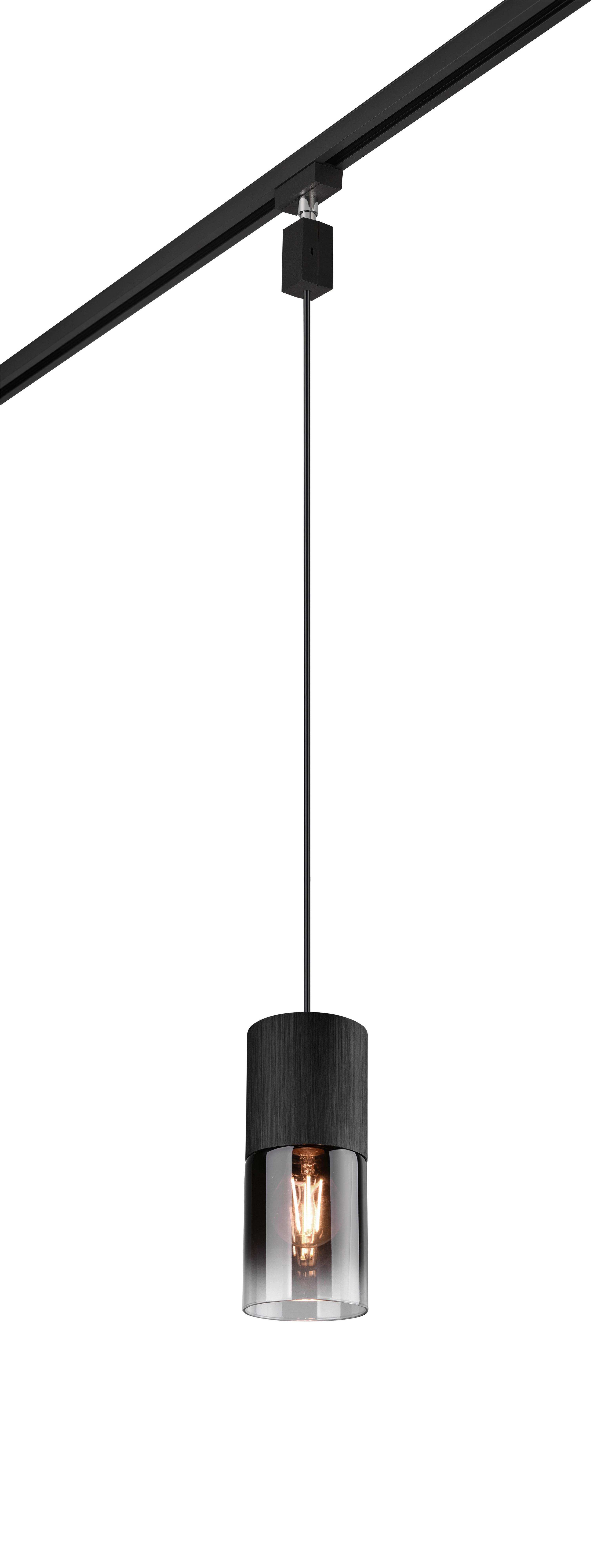 Schienensystem-Hängeleuchte Robin in Grau max. 28 Watt - Schwarz/Grau, KONVENTIONELL, Glas/Metall (10/180cm) - Trio Leuchten