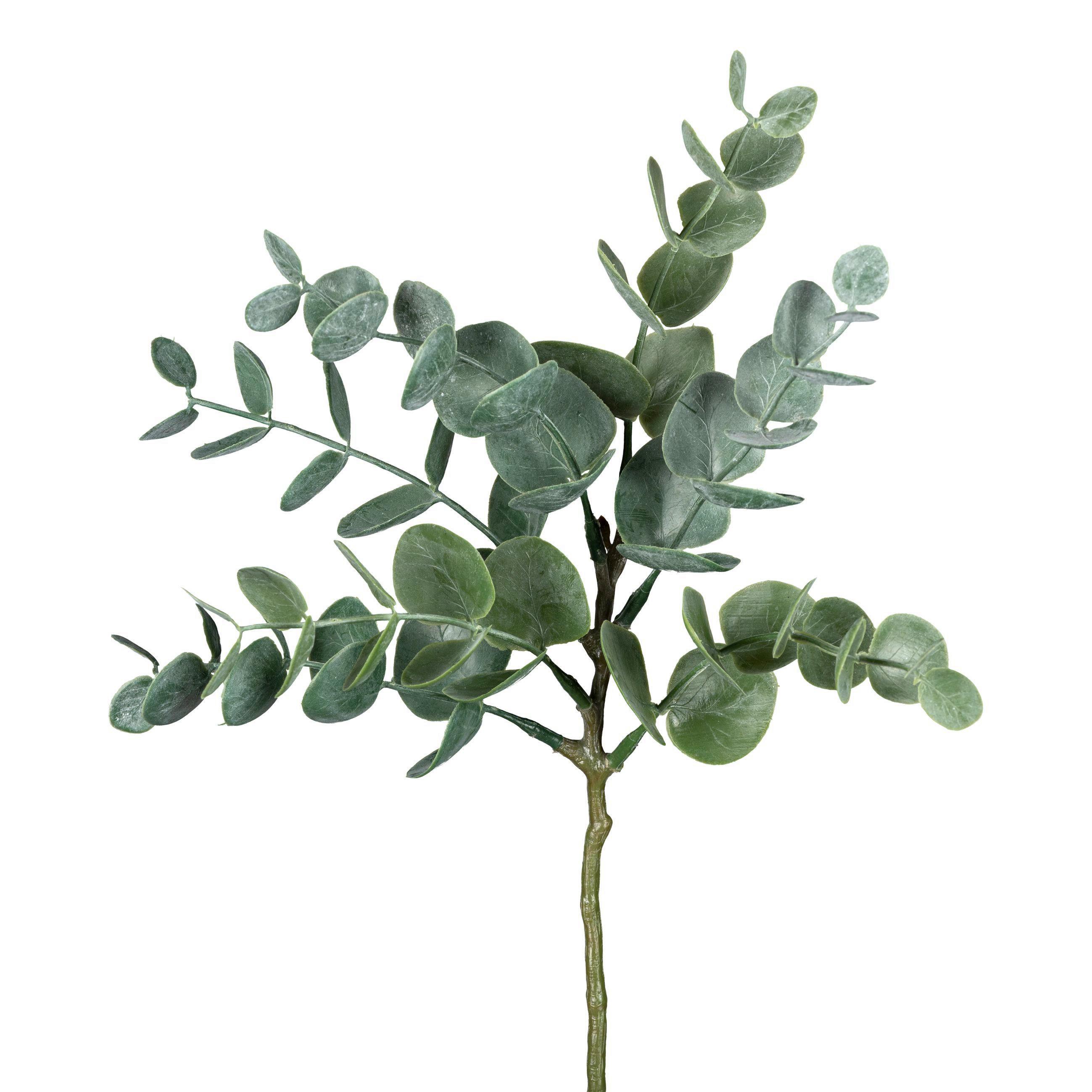 Umjetna Biljka Eucalypthuszweig Ii - Konventionell (26cm) - Modern Living