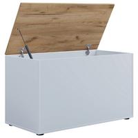 TRUHE BENDOLA - Honigeiche/Weiss, Konventionell, Holzwerkstoff (82/49/44cm) - MID.YOU