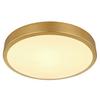 Stropna Led-svetilka 12381-15 - opal/barve medenine, Konvencionalno, kovina/umetna masa (25/3cm) - Globo