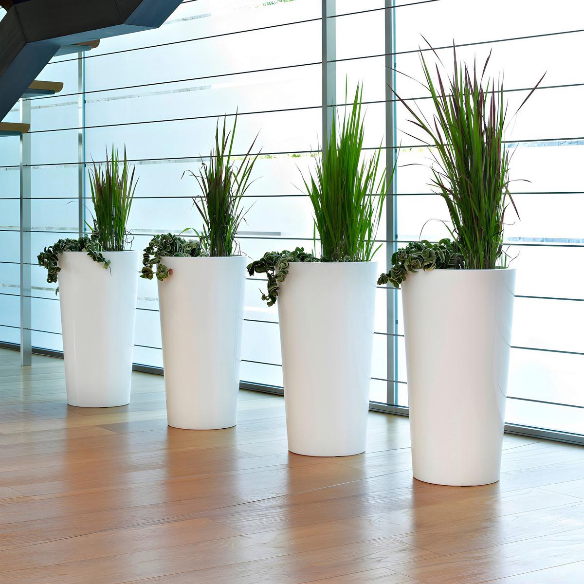 Pflanzentopf Weiß - Weiß, Basics, Kunststoff (33/61cm)