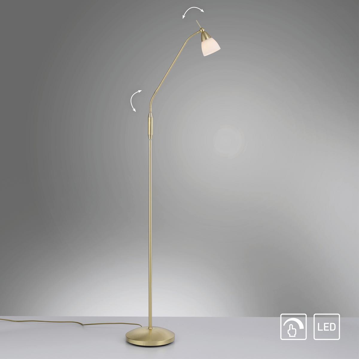 LED-Stehleuchte Pino Dimmbar max. 2,6 Watt - Basics (74/74/163cm) - Paul Neuhaus
