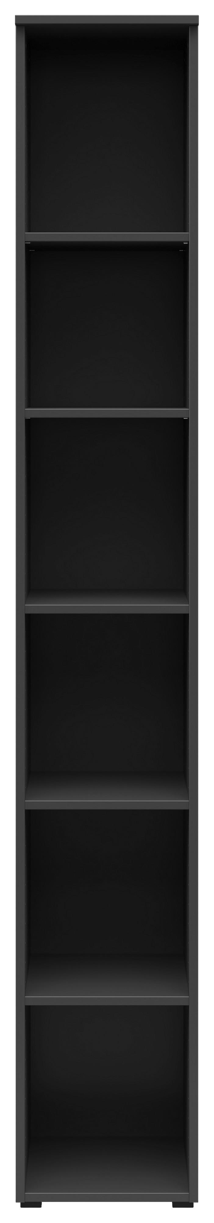 Regal Multistauraum - barve grafita/antracit, Moderno, umetna masa/leseni material (30/195/40cm) - Premium Living