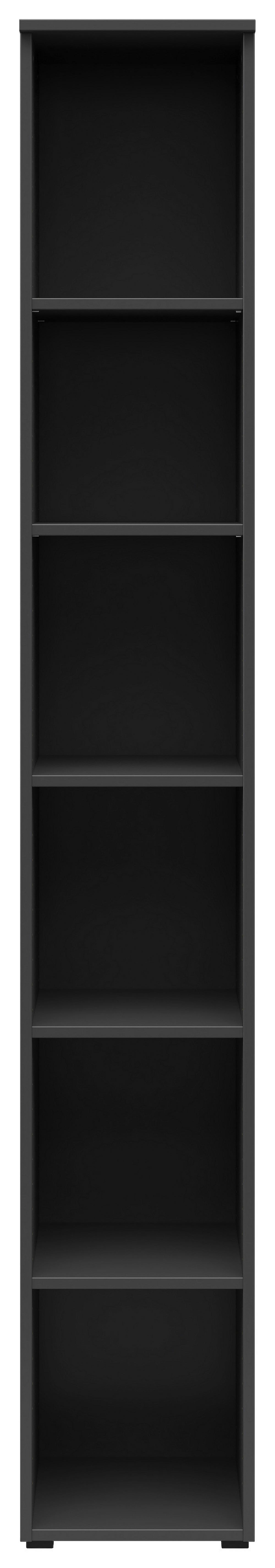 Regal Multistauraum Graphitfarben - Anthrazit/Graphitfarben, MODERN, Holzwerkstoff/Kunststoff (30/195/40cm) - Mömax