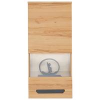 Vitrină suspendată ALANA - Modern, sticlă/material pe bază de lemn (46,9/103,8/33cm) - Modern Living