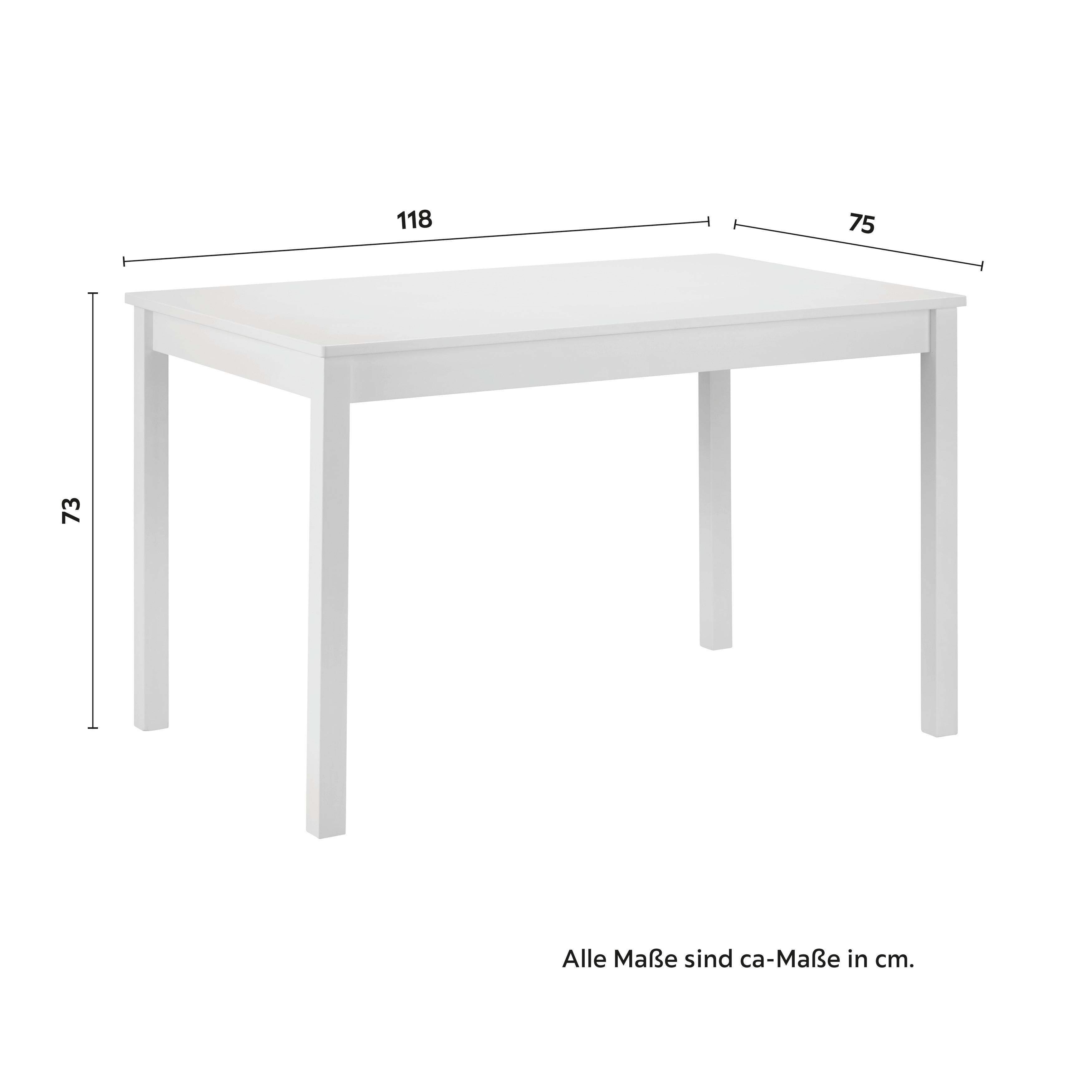 MATGRUPP AMIRA - vit, Modern, trä (118/43/75/40.5/73/86cm) - Bessagi Home