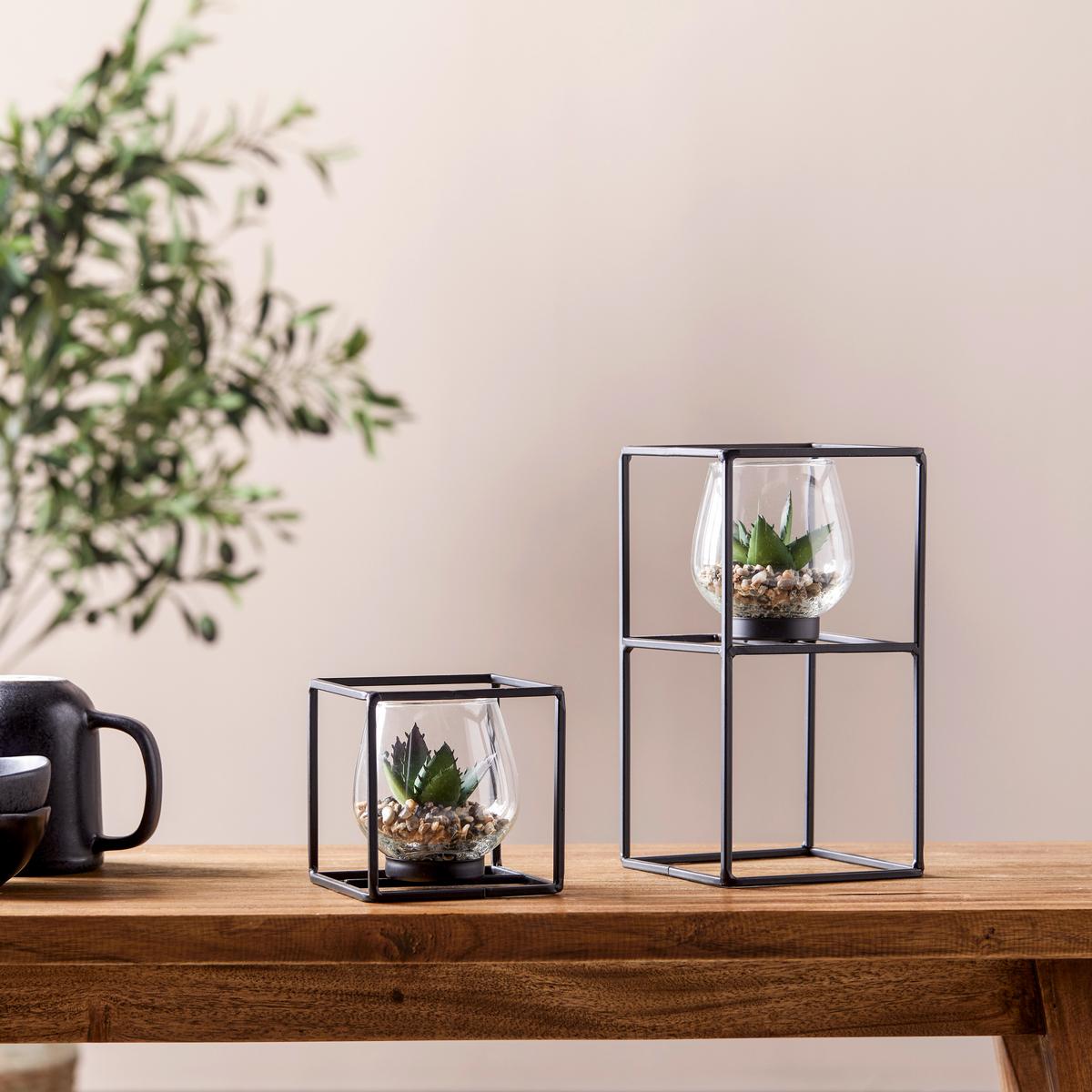 Műnövény Kaspóban Sukkulente - fekete/zöld, Modern, műanyag