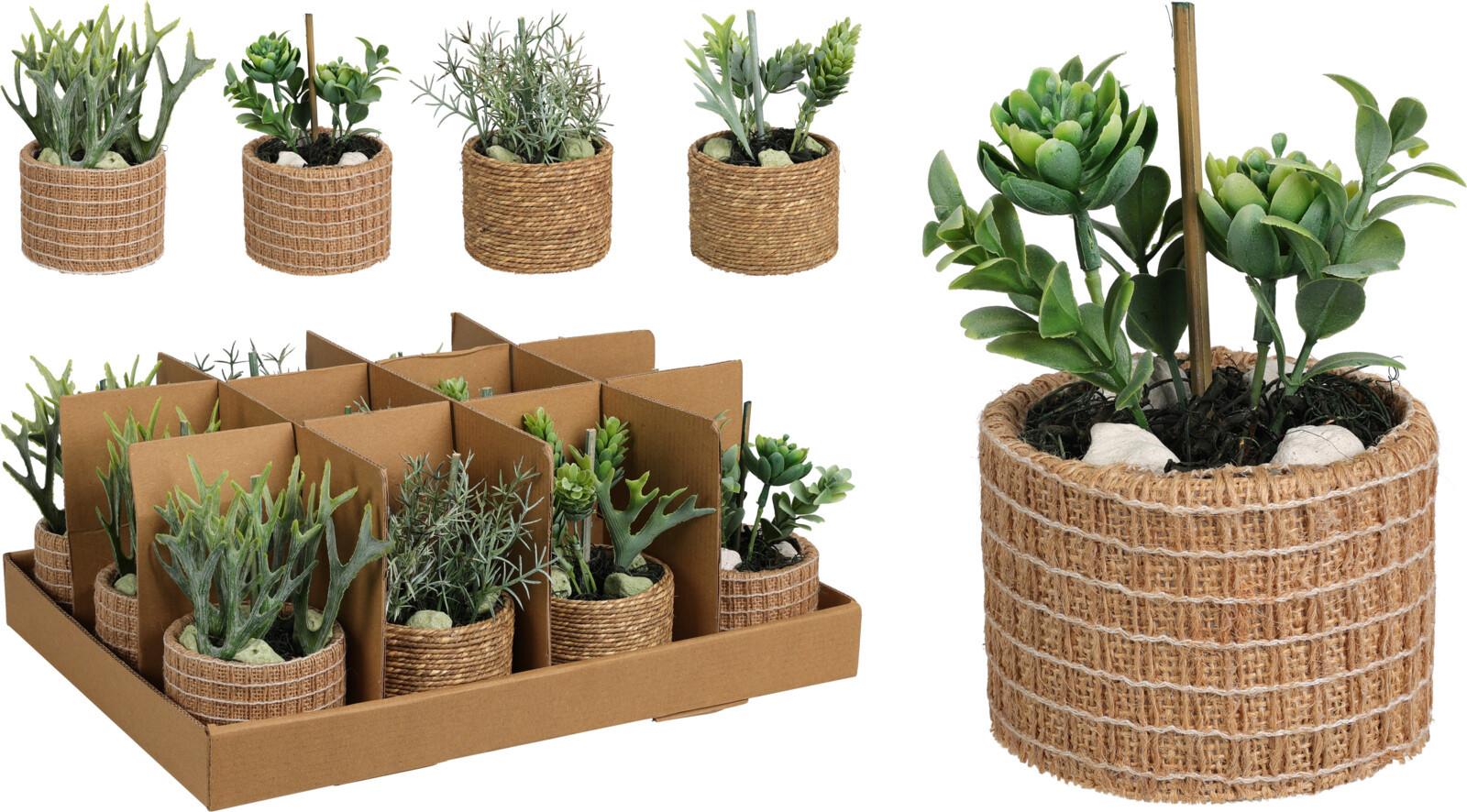 Veštačka Biljka U Saksiji Bliss Pro - Moderno (9/9/15cm)