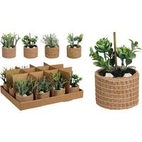 Veštačka Biljka U Saksiji Bliss Pro - Moderno (9/9/15cm)