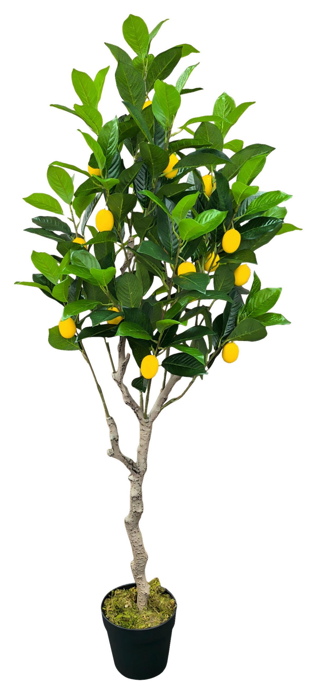 Kunstpflanze Zitronenbaum Hellgelb/Grün ca. 120cm - Dunkelgrün/Hellgelb, Kunststoff/Metall (120cm) - Mömax