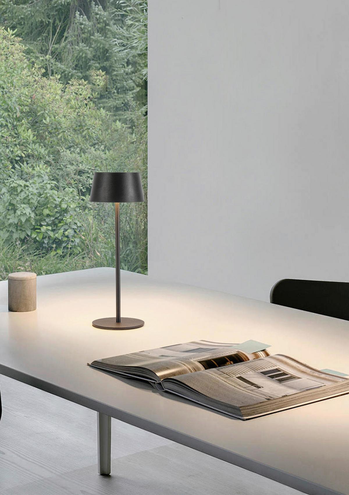 Lampă de exterior cu LED Litzi - negru, Modern, plastic/metal (11,6/31,3cm) - Modern Living
