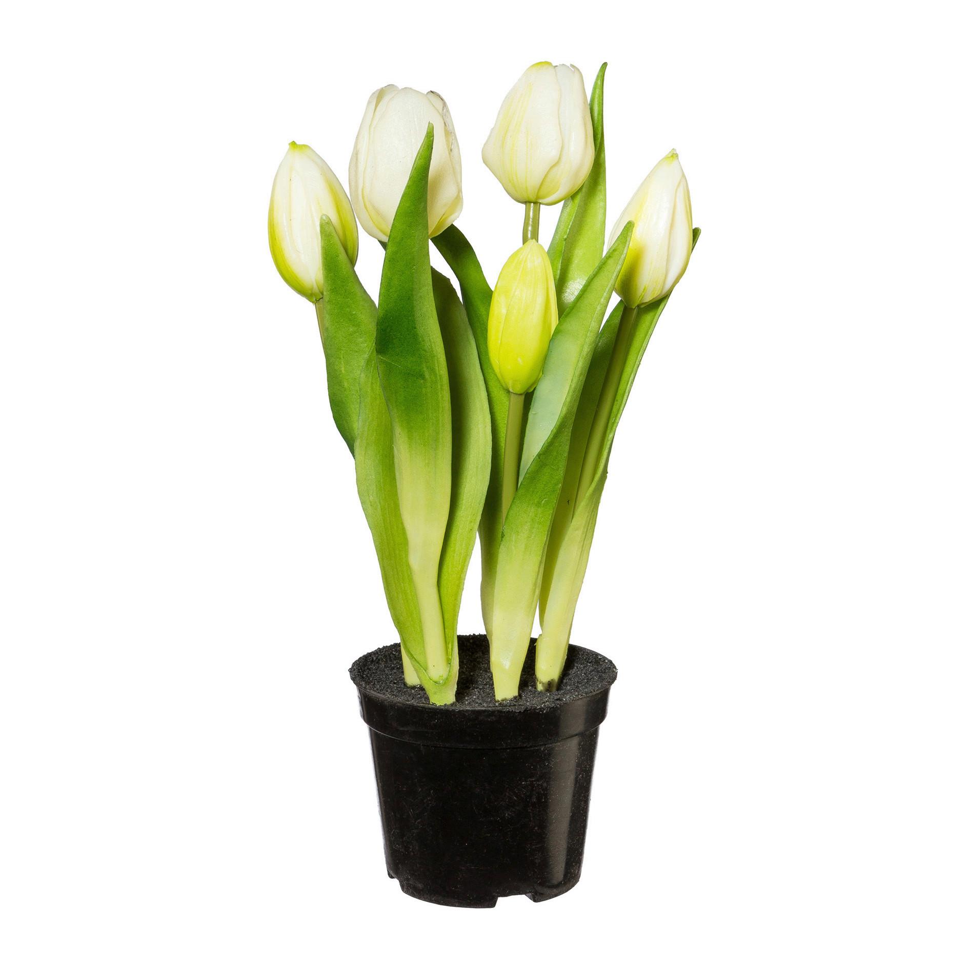 Kunstpflanze Tulpe I in Weiß - Schwarz/Weiß, Natur, Kunststoff (25cm) - Modern Living