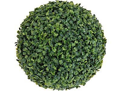 Műnövény Buxus - Konventionell (18cm)