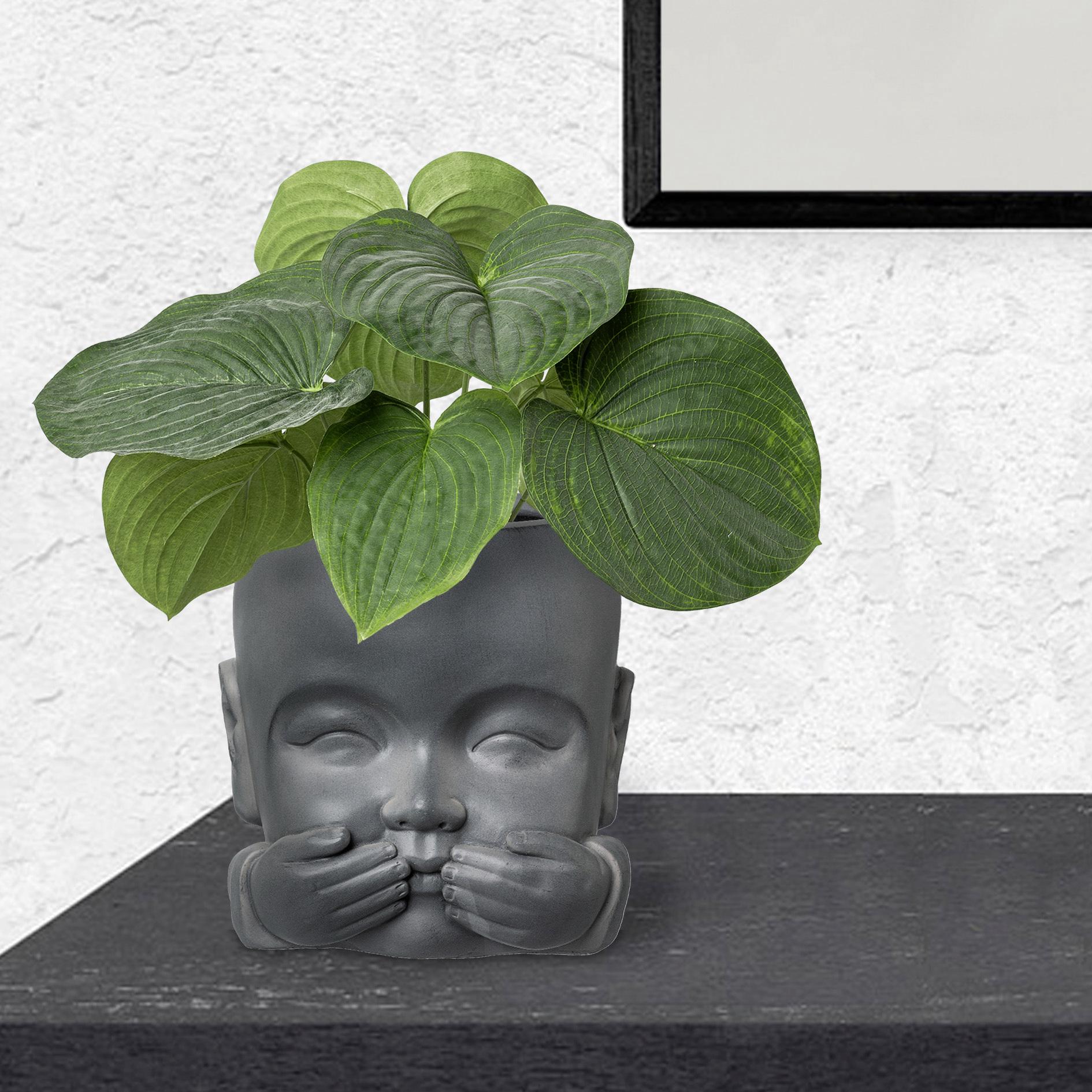 Übertopf-Set Little Buddhas, 3-teilig - Anthrazit, Basics (24cm) - MID.YOU