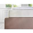 Spannleintuch Elasthan ca. 100x200cm - Beige, Textil (100/200/28cm) - Premium Living Spannleintuch Elasthan ca. 100x200cm - Beige, Textil (100/200/28cm) - Premium Living