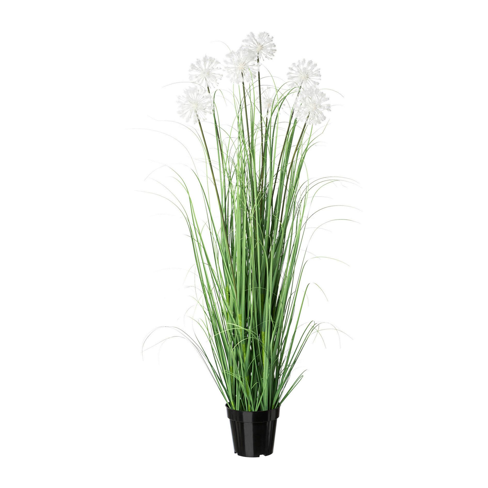 Kunstpflanze Daisy mit Übertopf, ca. 128cm - Schwarz/Weiß, MODERN, Kunststoff (128cm) - P & B