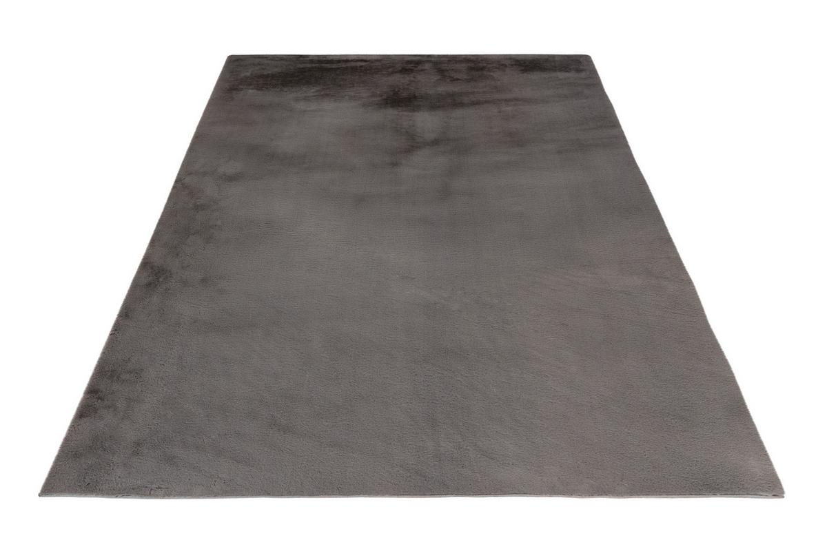 Fellteppich My Monaco 225 - Silberfarben, Design, Textil (200/290cm)