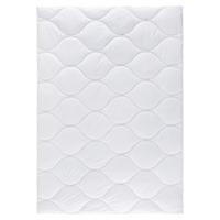 Pilotă Aloe Vera cca. 200x220cm - alb, plastic/textil (200/220cm) - Nadana