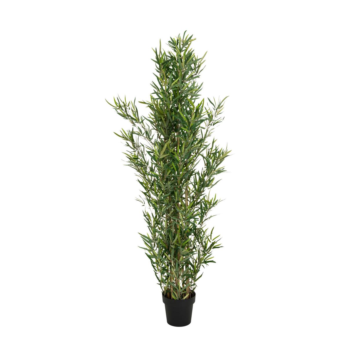 Umetna Rastlina Bambus - črna/zelena, Basics, umetna masa/tekstil (70/165/70cm) - MID.YOU