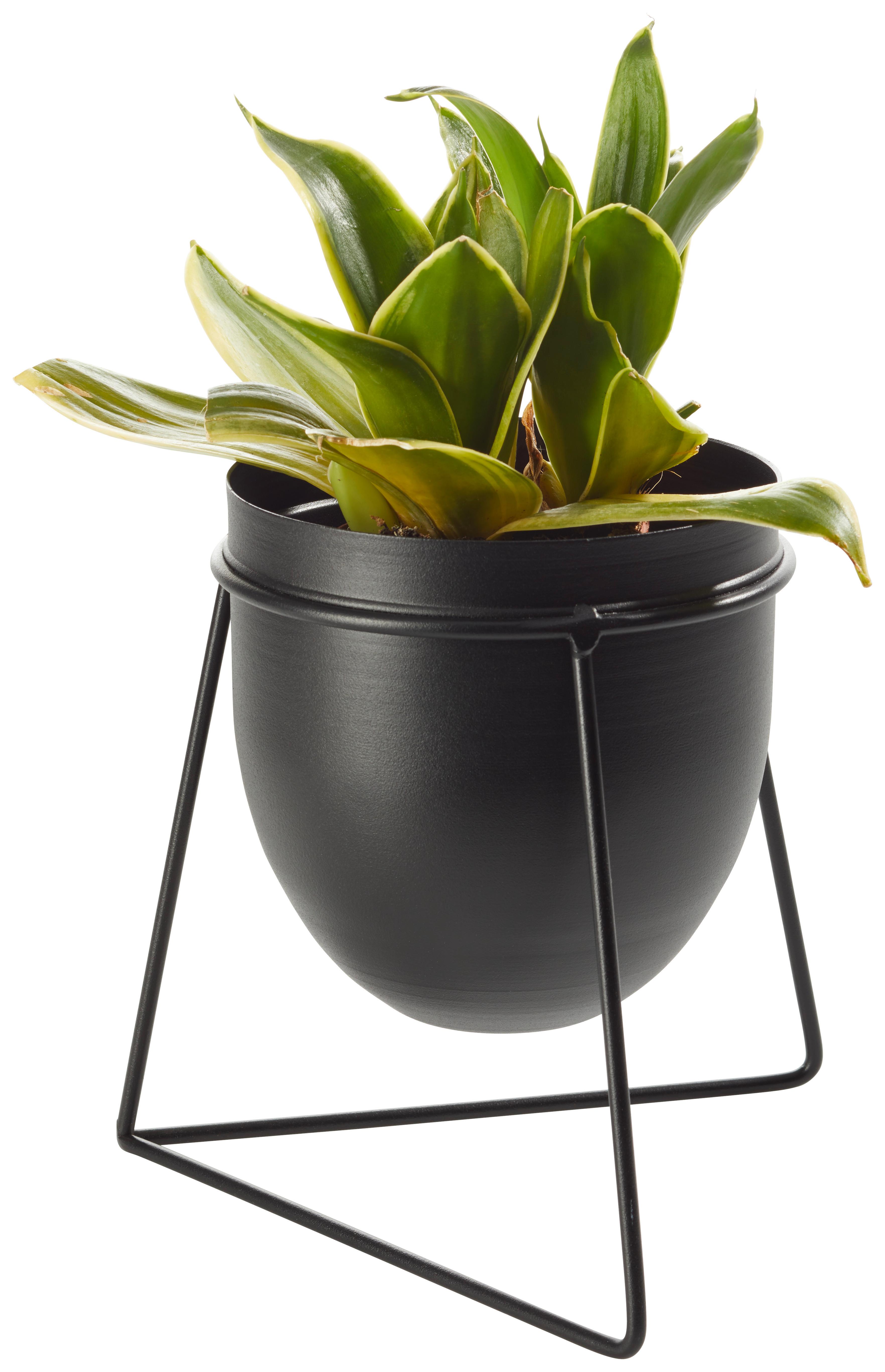 Kaspó Urbanus - fekete, Basics, fém (20/18cm) - Modern Living
