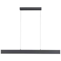 LED-Hängeleuchte Nila max. 38 Watt - Anthrazit, Design, Kunststoff/Metall (121/6/120cm)