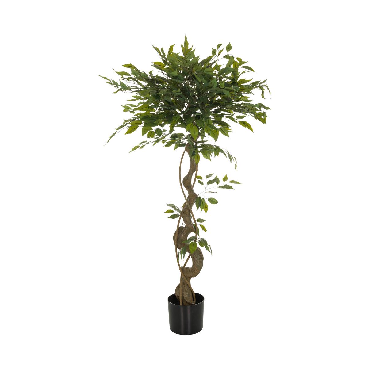 Umetna Rastlina Ficus I - črna/zelena, Basics, umetna masa (70/120/70cm) - MID.YOU