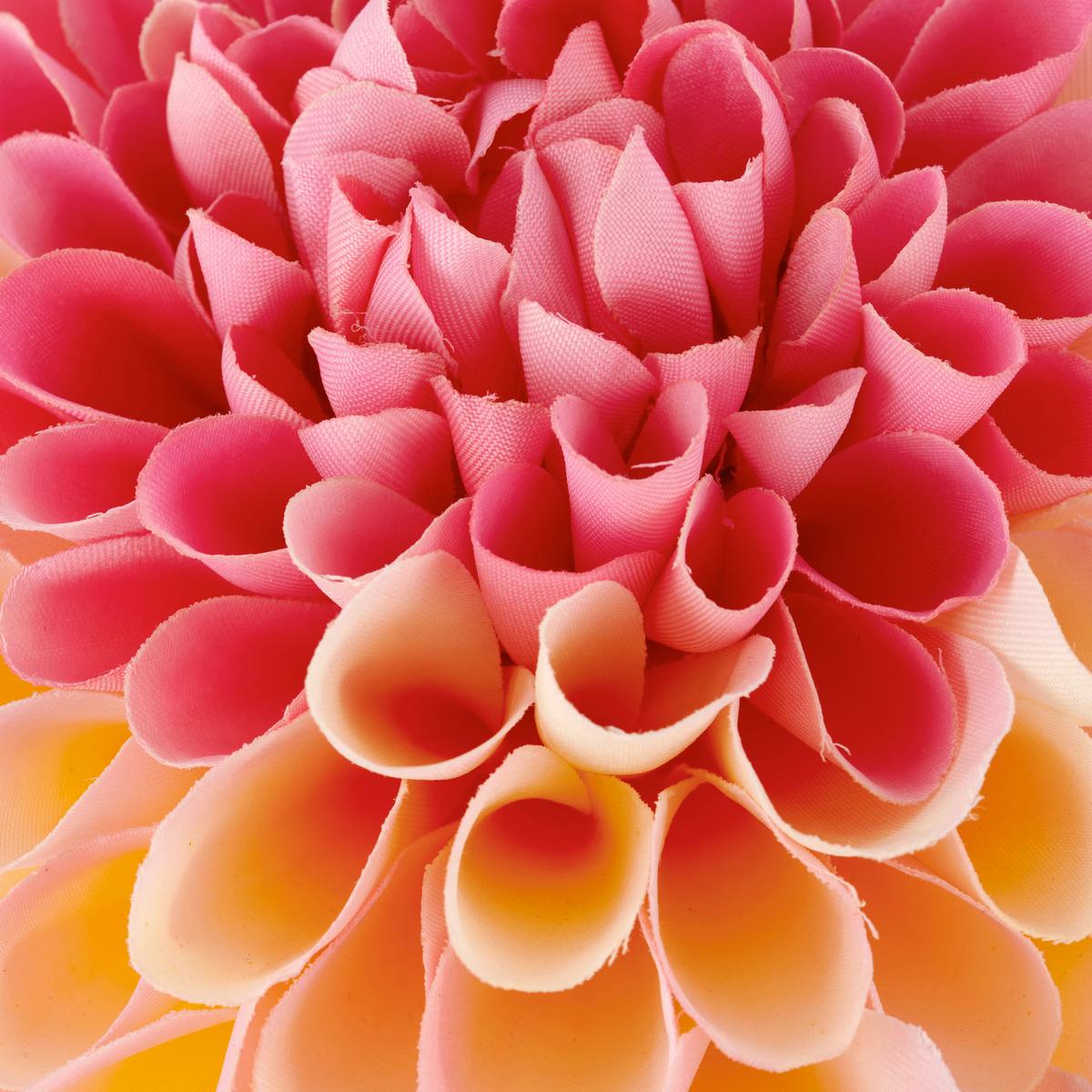 Dahlie I Aprikose ca. 73cm - Aprikose/Grün, Basics, Kunststoff/Textil (73cm) - Mömax