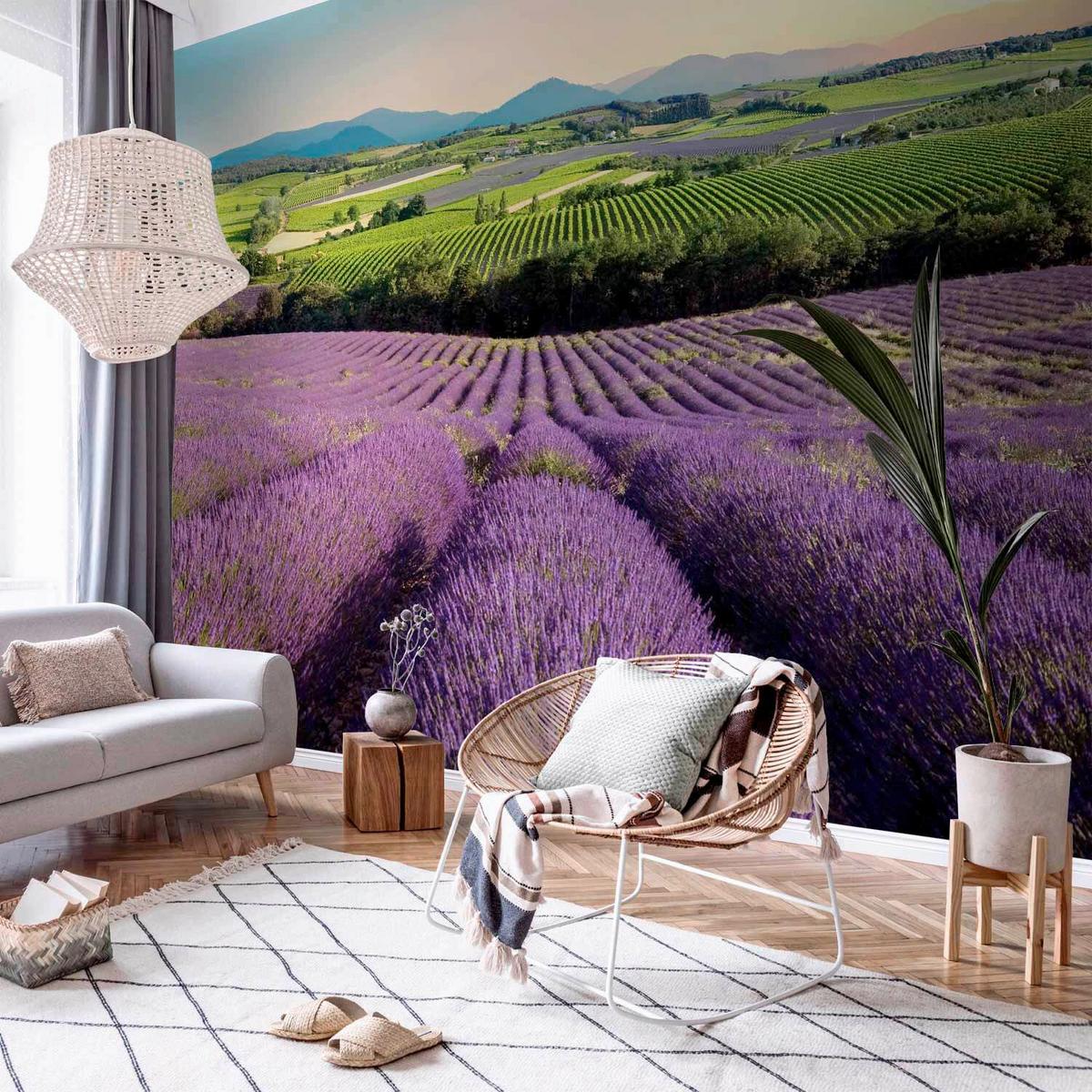Fototapeta Lavender Field, 400x280cm - vijolična/zelena, Trendi, tekstil (400/280cm) - artgeist