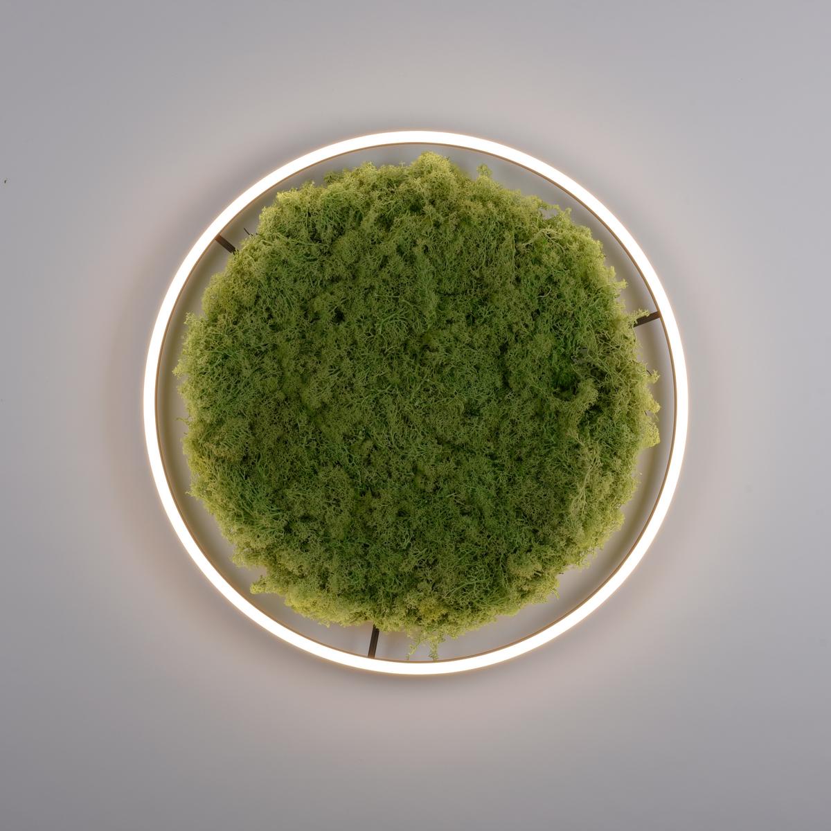 KINKIET 15392-66 GREEN RITUS - Natur, tworzywo sztuczne/materiały naturalne (58,5/58,5/5,3cm)