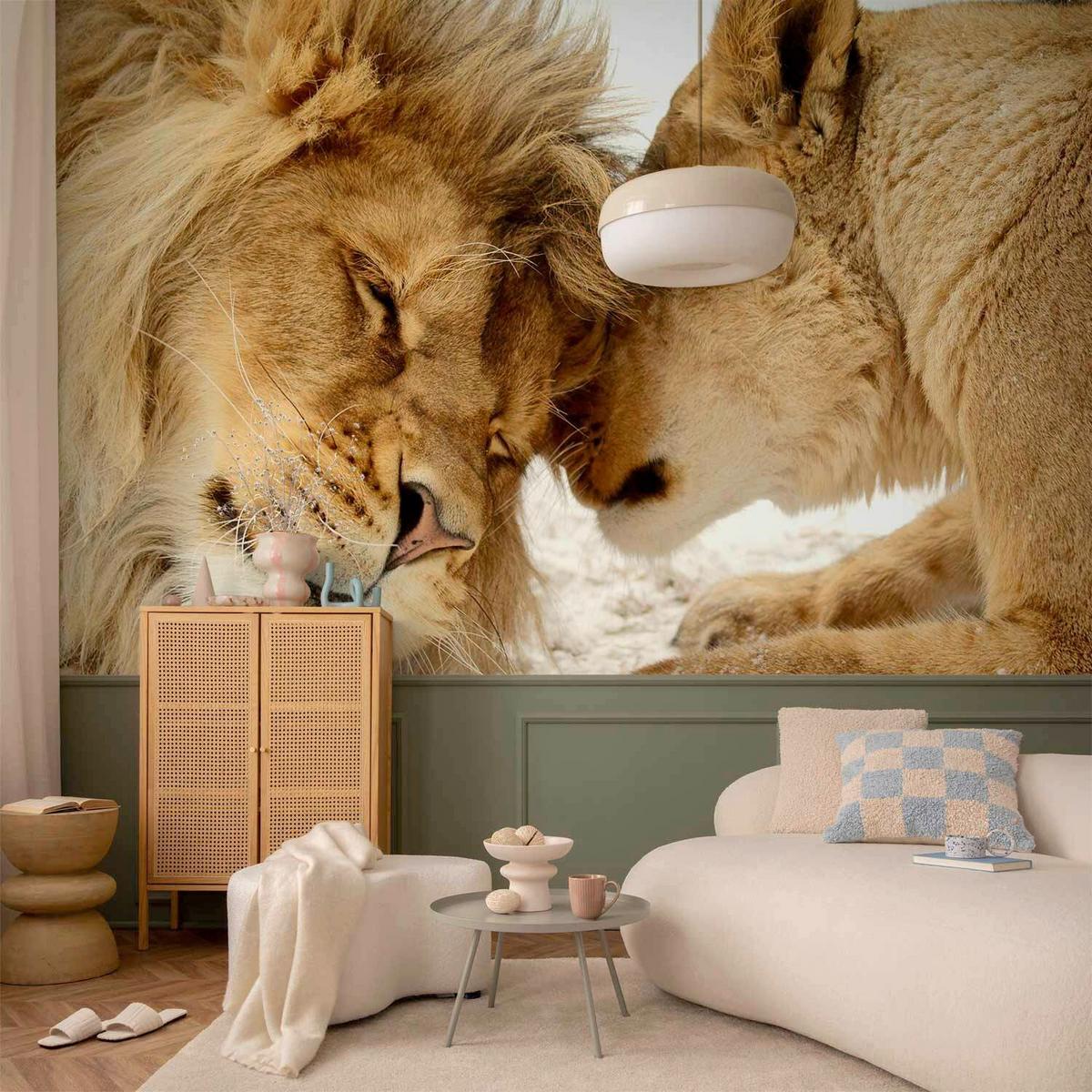 Fototapeta Lion Tenderness, 300x210cm - bela/barve medu, Trendi, tekstil (300/210cm) - artgeist