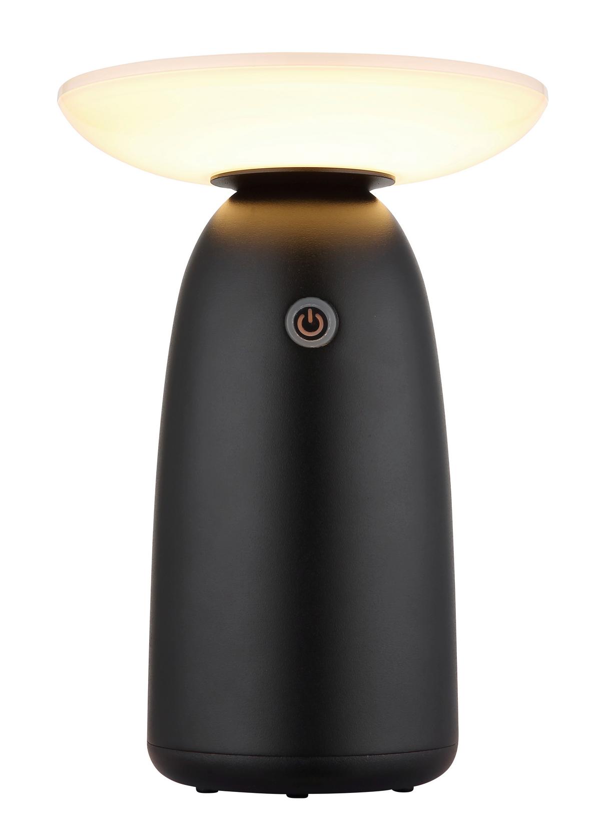 Solarleuchte 36625s  Solar - Opal/Schwarz, Design, Kunststoff/Metall (16/22,5cm) - Globo