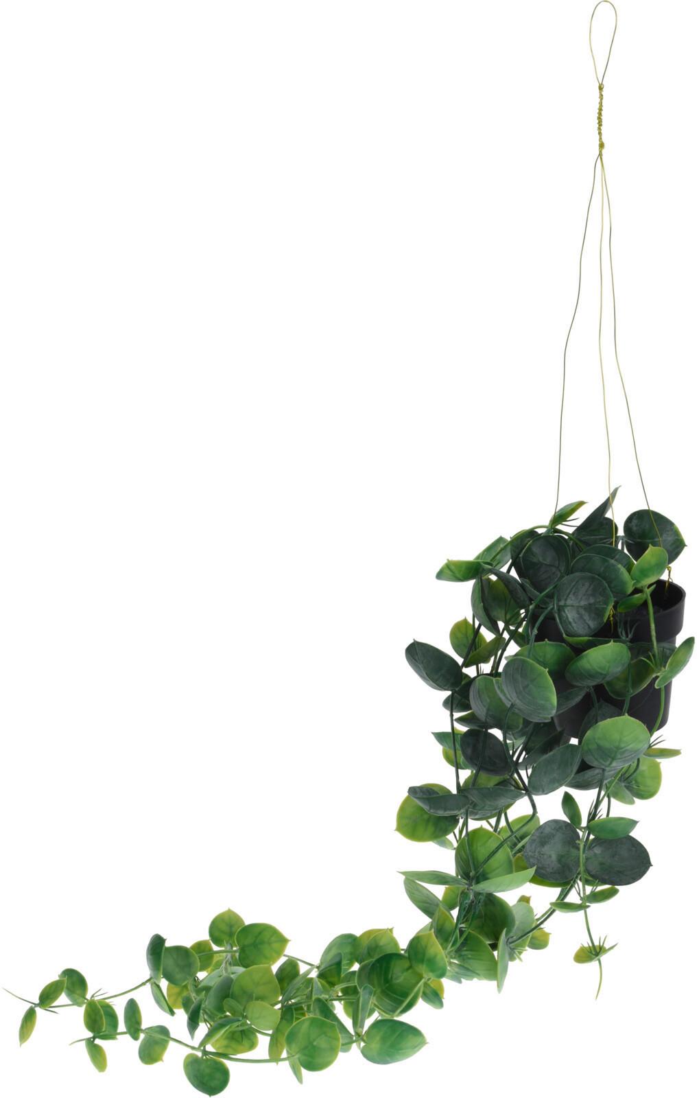 Műnövény Lang - zöld, műanyag (56cm)